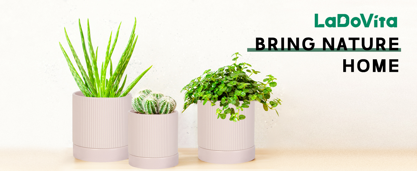 Ceramic Plant Pots