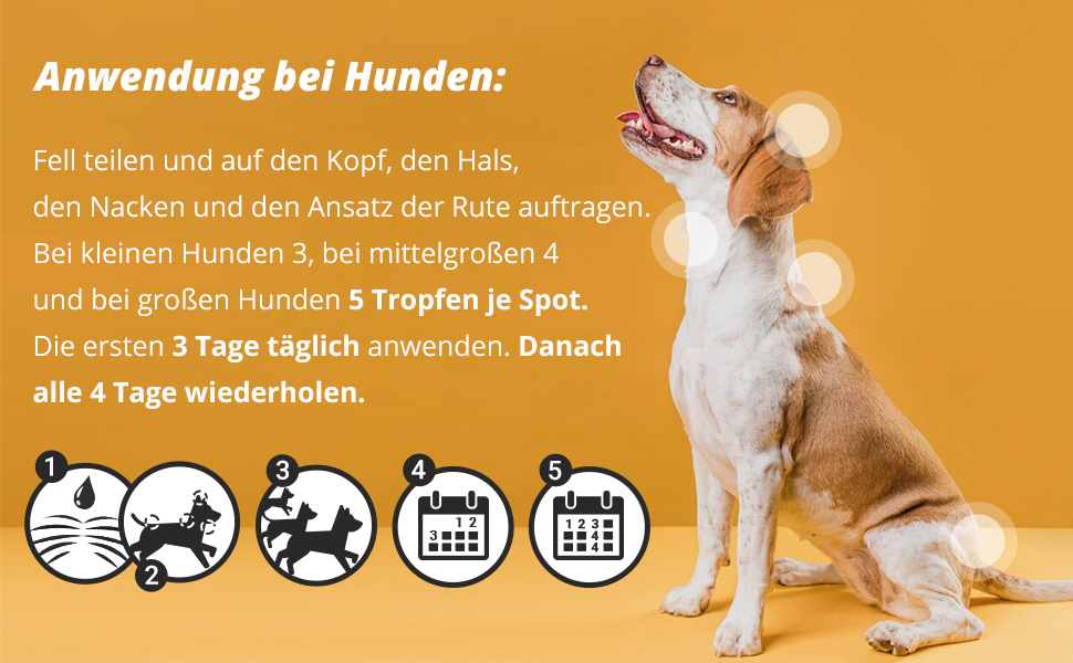 Marsavet – Spot-on – natürlicher Zecken- und Flohschutz
