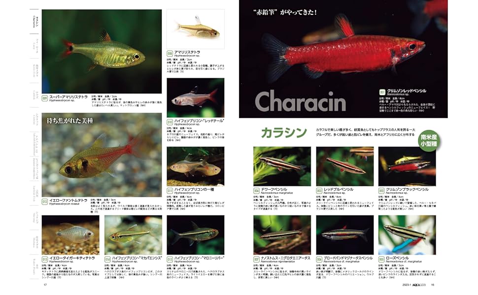 アクアリウム図鑑 2冊セット Amazon | 水槽 アクアリウム スターターキット 一体型水槽セット