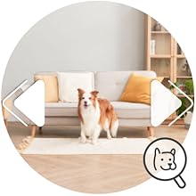 Feature 2: Rotating 360° View
