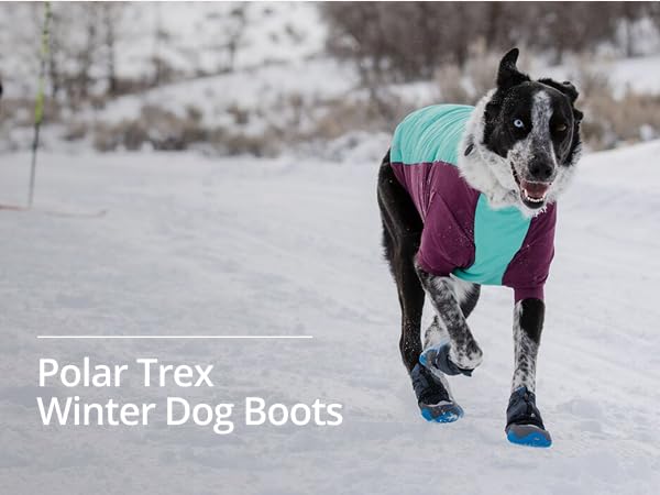 Amazon.com : Ruffwear, Polar Trex Dog Boots, Ultimate Winter