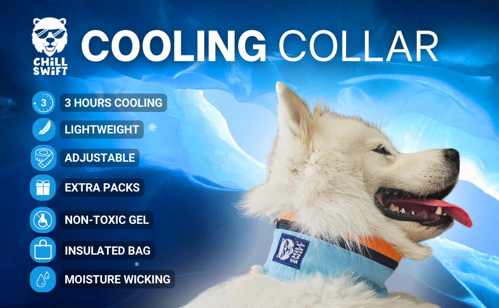 cooling collar for dogs dog cooling collar cool dog collars cooling dog collar dog cooling collar