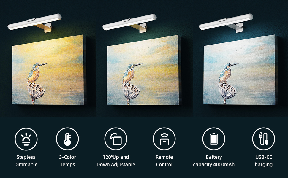 Energy-efficient picture light