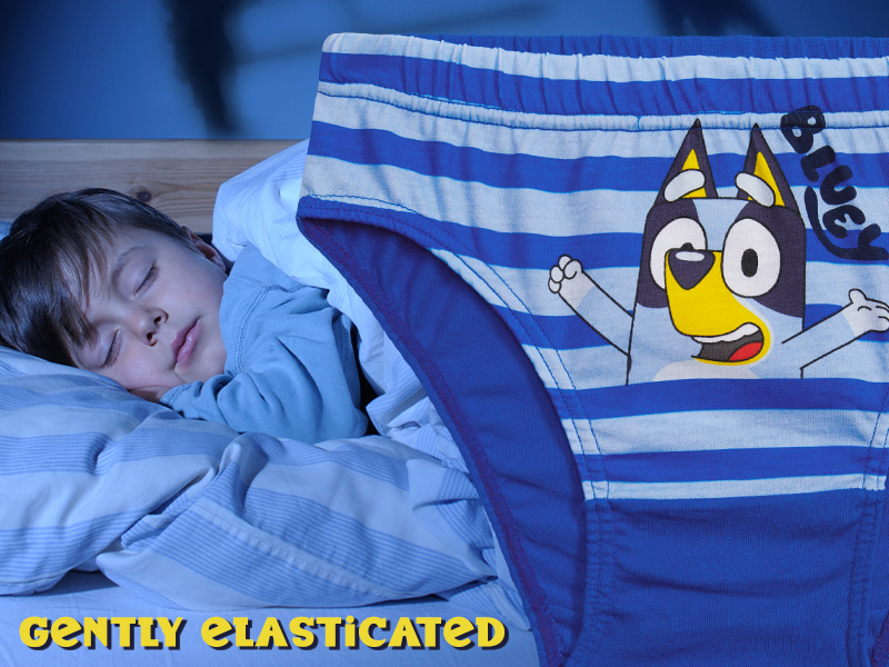 Bluey Boys Briefs, Comfortable Soft Breathable Underwear