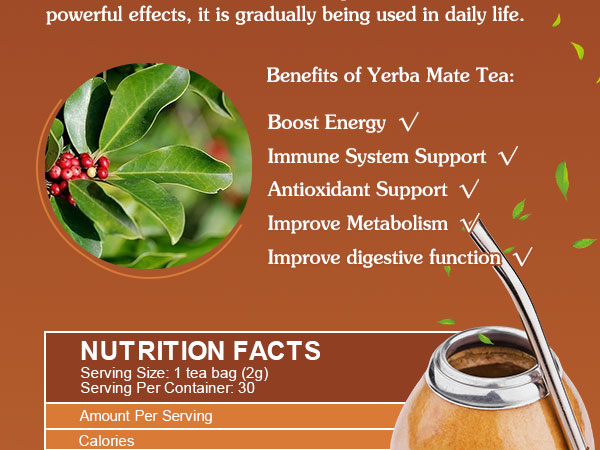 mate tea benefits () mate tea benefits