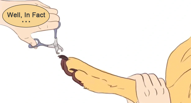 nail grinder for dogs quiet