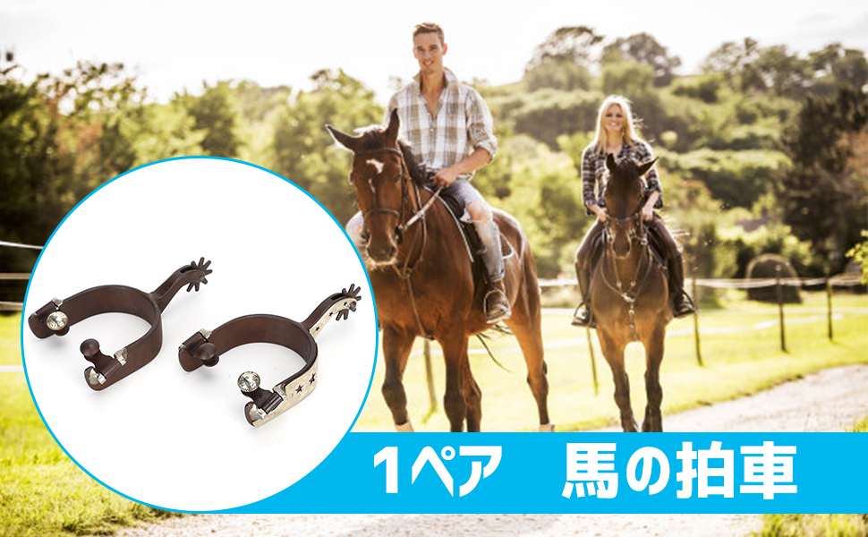 40%OFFの激安セール 超レア ウェスタン風 拍車 ビンテージ スパー