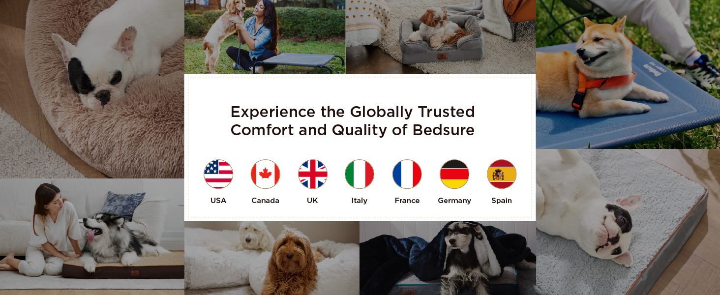 Collage mit Bildern des Produktlifestyles mit mehreren Länderflaggen (USA, Kanada, Großbritannien, Deutschland, Frankreich, Spanien). Zeigt Personen, die elektronische Geräte in verschiedenen Umgebungen verwenden.