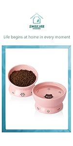 cat bowls