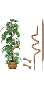 Amazon.com : 60 Inch Moss Pole, Bendable Moss Pole for