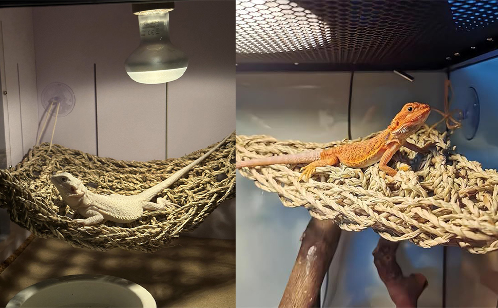 turtle basking platform