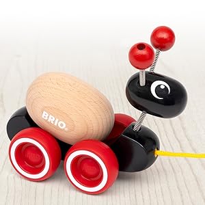 Amazon | BRIO(ブリオ）プルトイ ローリングエッグとアリさん