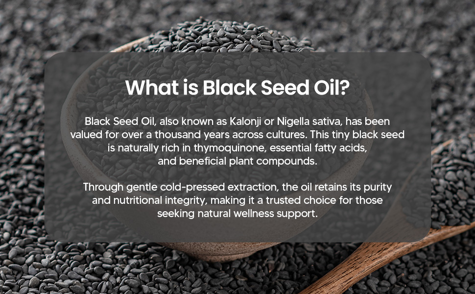 Large manufacture image 6