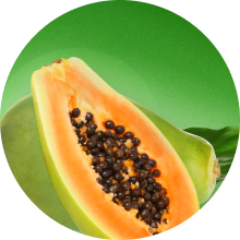 Probiotics for dogs chews