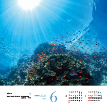 6月　水中の空／チューク諸島