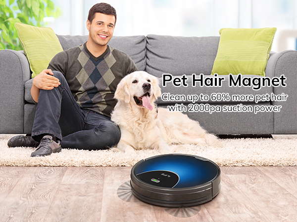 Pet Hair Magnet