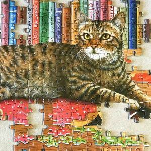 cozy cat puzzle