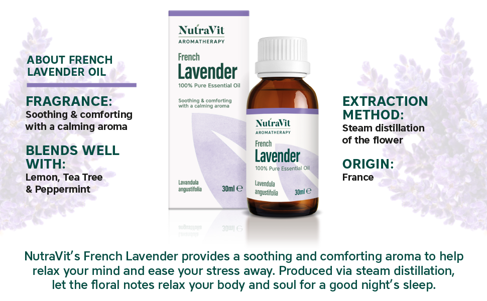 French Lavender Essential Oil - About French Lavender Oil
