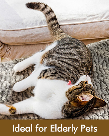 self heating warming cat bed mat pad cat bed for indoor cats