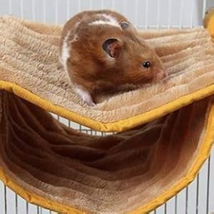 hamster Hammock
