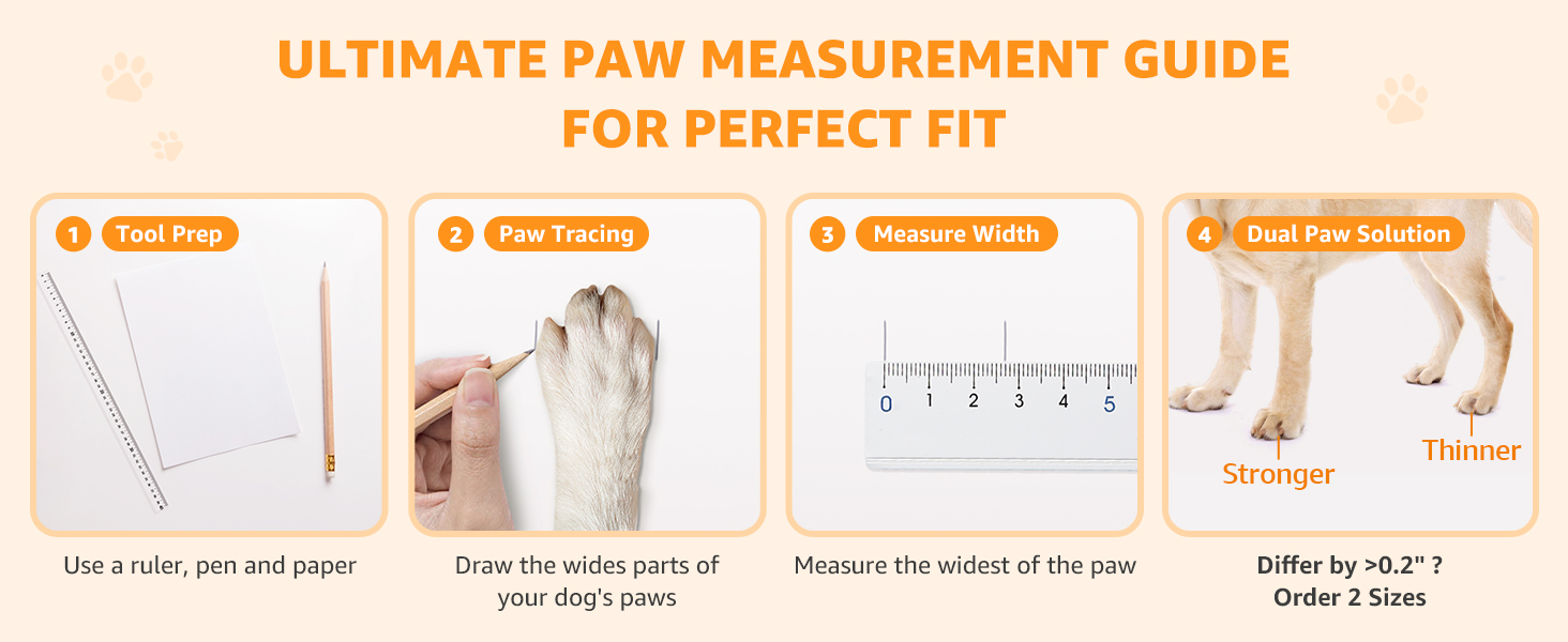 pet shoes