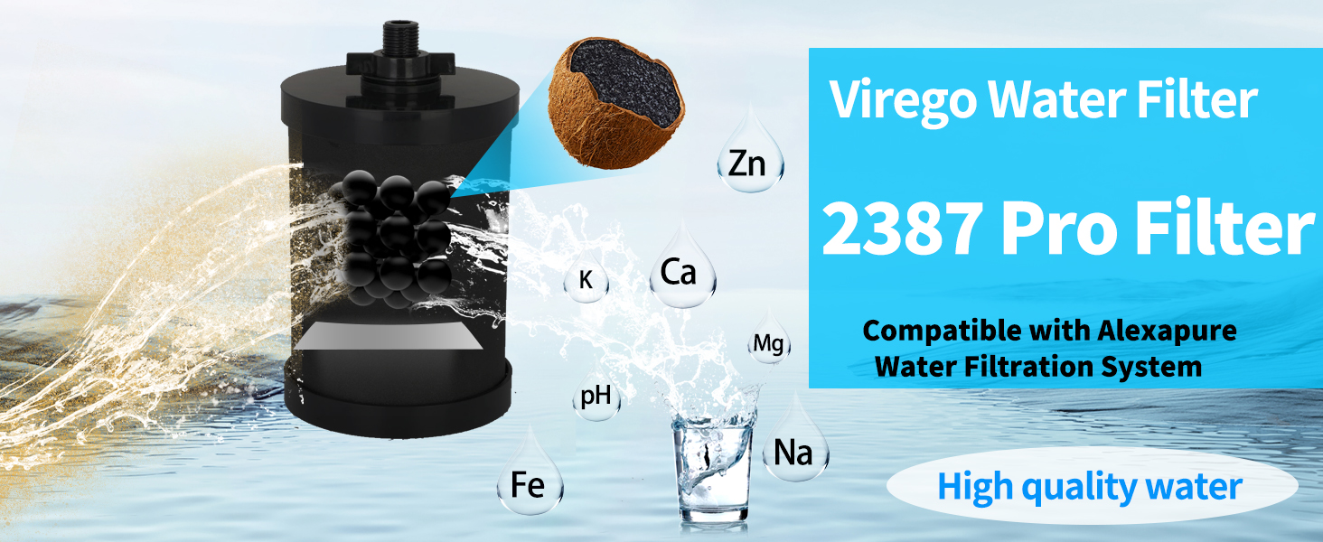 2387 Pro Filter Replacement