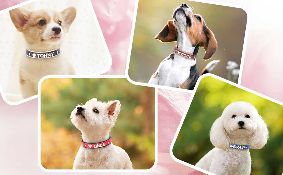 Beirui Personalized Dog Collars with Bling Rhinestone Pet