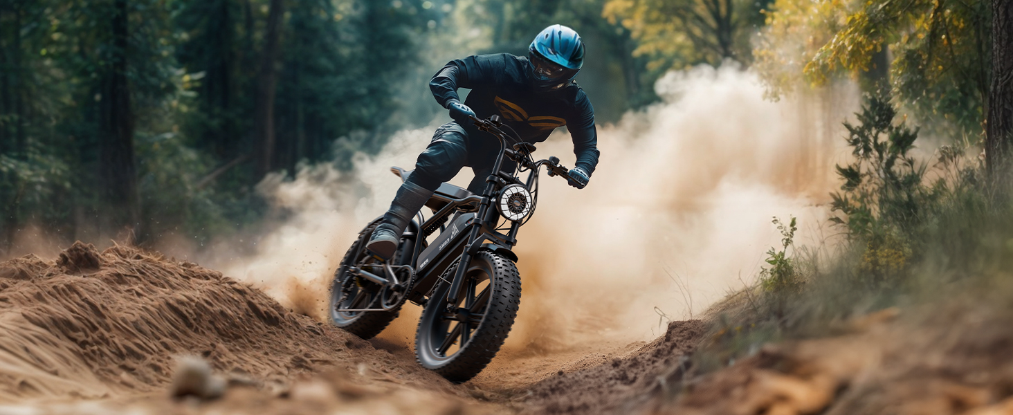 ebike