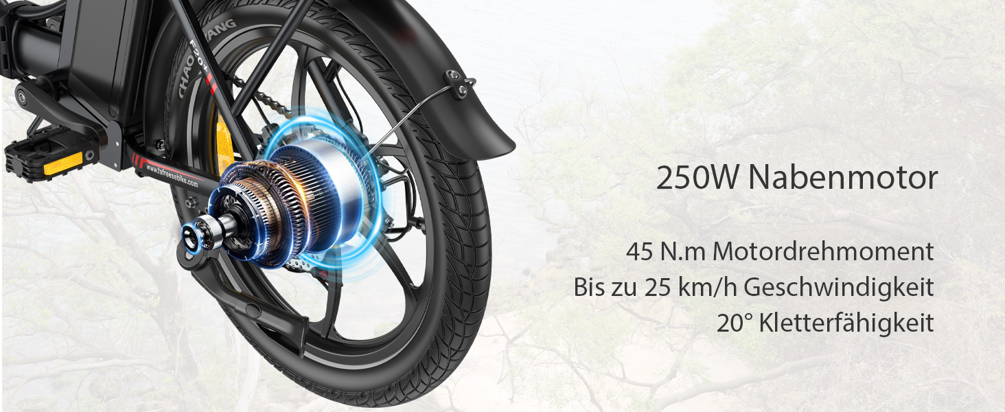 Fafrees F20+ E Bike