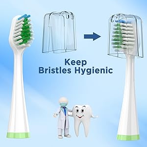 aquasonic duo brush heads