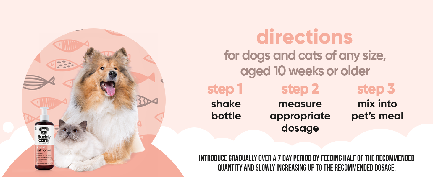 Salmon Oil