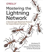 Mastering the Lightning Network: A Second Layer Blockchain Protocol for Instant Bitcoin Payments