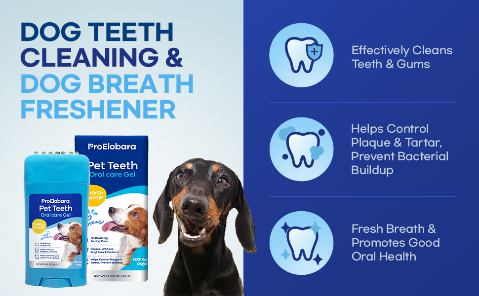 Dog Toothpaste, Dog Breath Freshener, Dog Teeth Cleaning