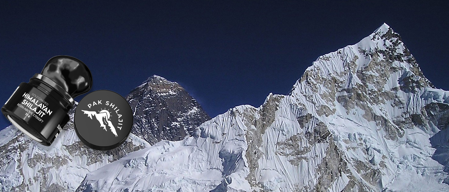 organic shilajit resin