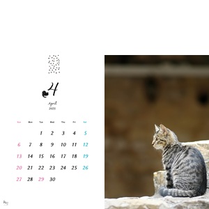ねこ no.129【表紙＆巻頭：JO1 與那城奨（よなしろしょう）/付録
