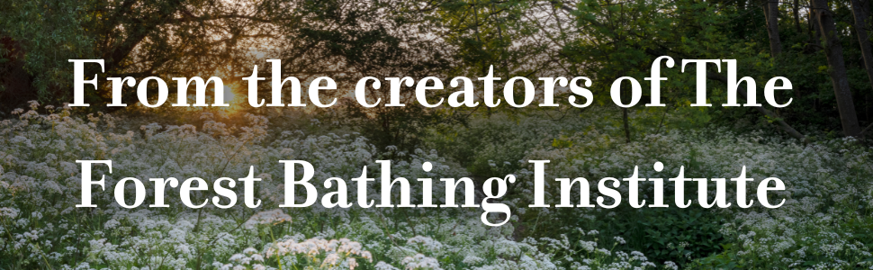 The Healing Power of Trees: The definitive guide to forest