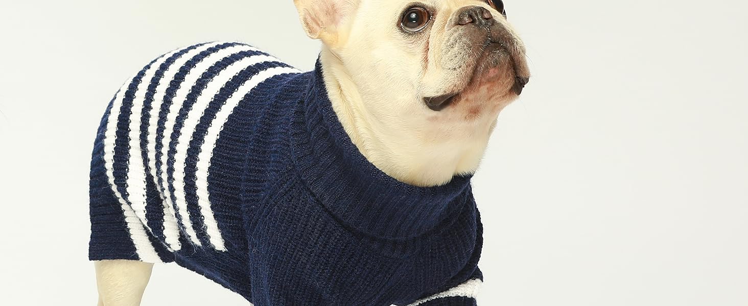 Fitwarm Turtleneck Puppy Sweater