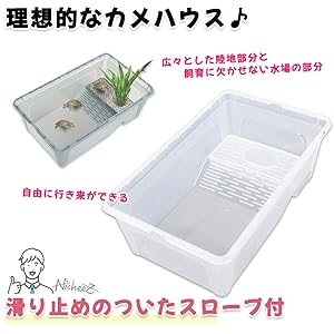 カメチャンページ Amazon | Nicheez 亀 水槽 タートル ボックス かめ カメ 爬虫類