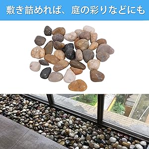 Amazon | ピュアシーク 天然五色石 紫光石 彩り石 プチアクアの