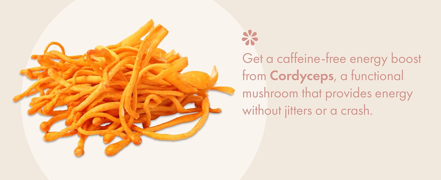 Cordyceps