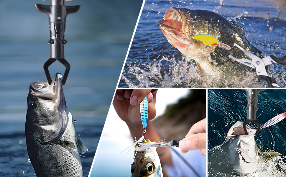 Zusammenstellung von Angelszenen: mechanischer Greifer hält gefangene Fische fest, Fische springen aus dem Wasser, Hände entfernen den Haken vom Fisch und Fische werden mit einer mechanischen Vorrichtung angehoben