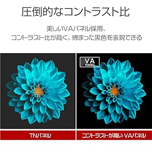 Amazon | ウィズ (Wis) 31.5V型 液晶 テレビ TEX-D3203BSR