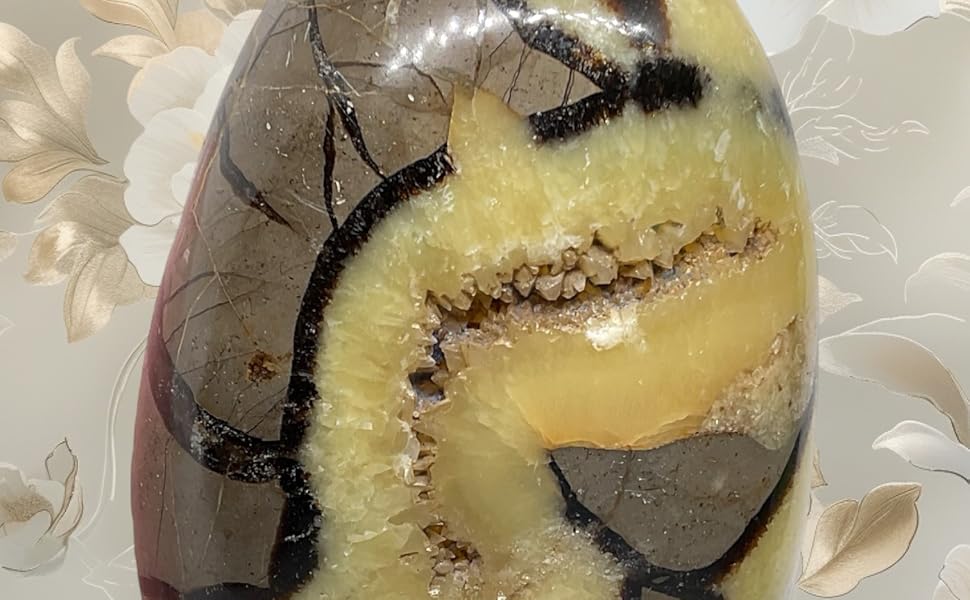 Sequenz, die zeigt, was wie ein gebackener oder gekochter Gegenstand mit dunklen Wirbeln oder Mustern auf gelbem Hintergrund aussieht.