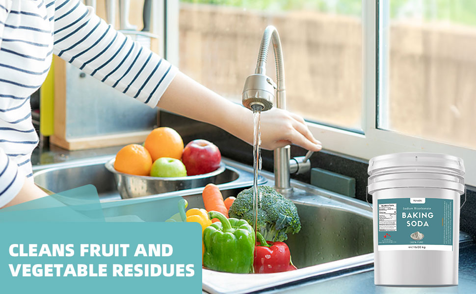 Sodium Bicarbonate Powder