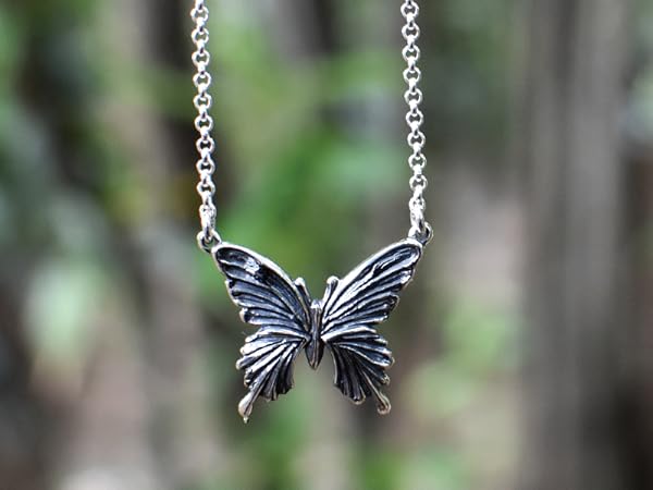 ブライトシュベルツ　バタフライ ブライトシュベルツ バタフライ