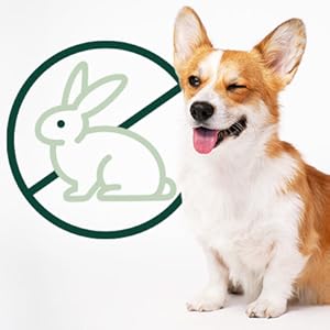 Small manufacture image 15