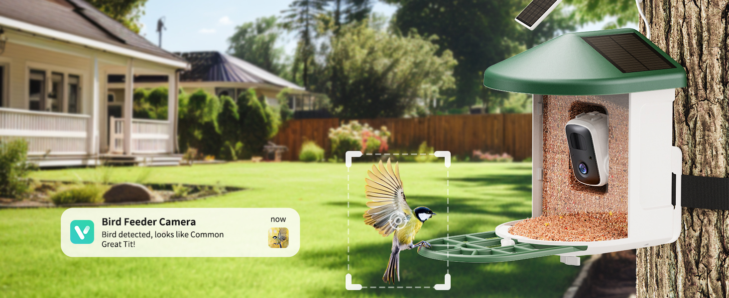 camera feeder bird outdoor