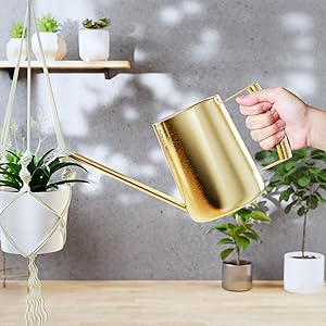 cute watering can for indoor plants  metal watering can indoor plants small watering can indoor long