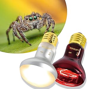 Reptile Heat Lamp Bulb