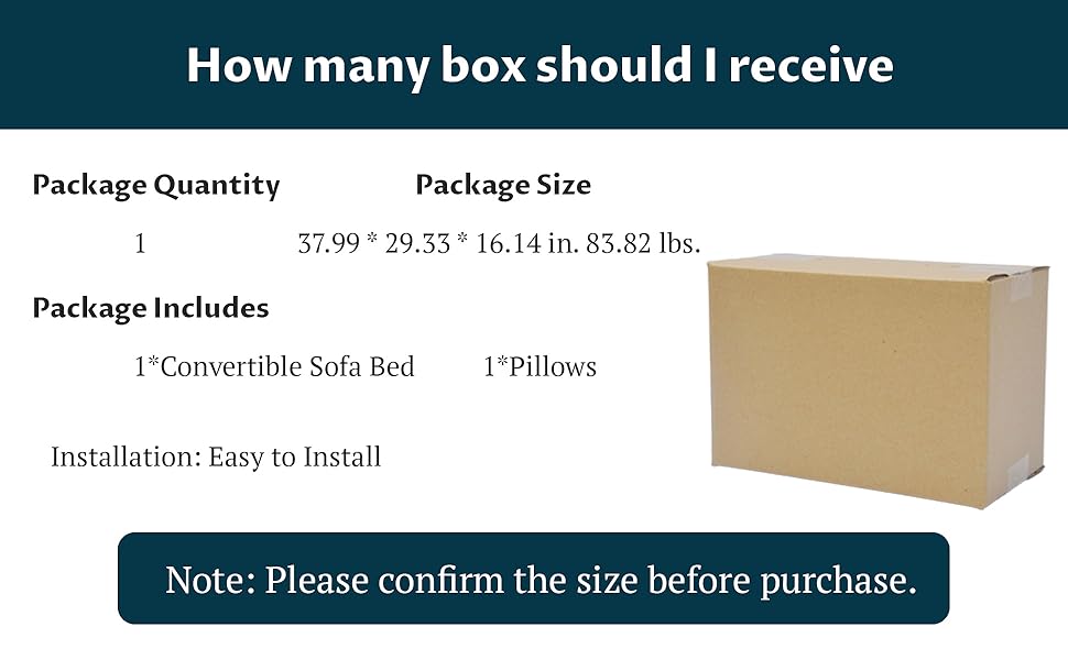 Single Pull Out Couch